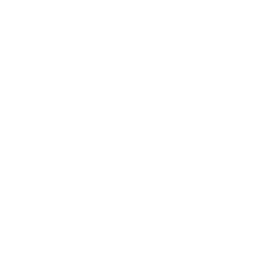 FlowMotive Vision